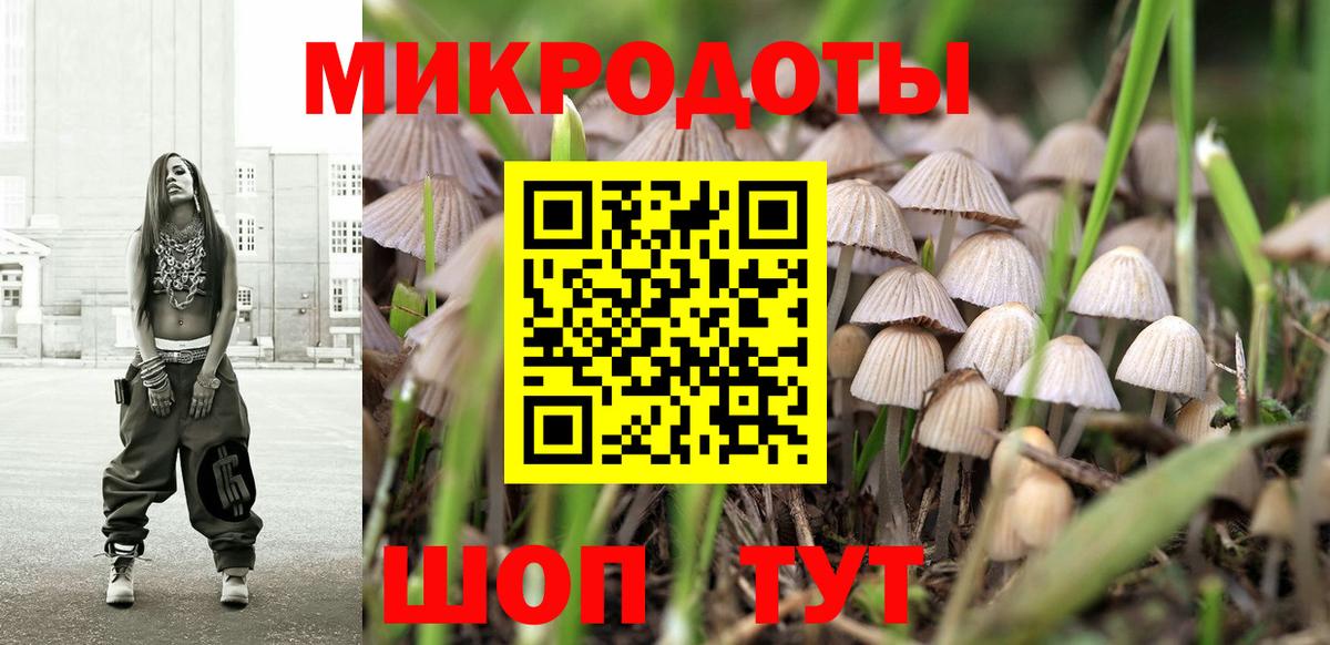 Псилоцибиновые грибы Cubensis Иваново